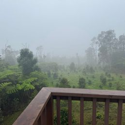 View from the botanical walk