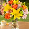 Nature's Splendor Flowers and Gifts gift card