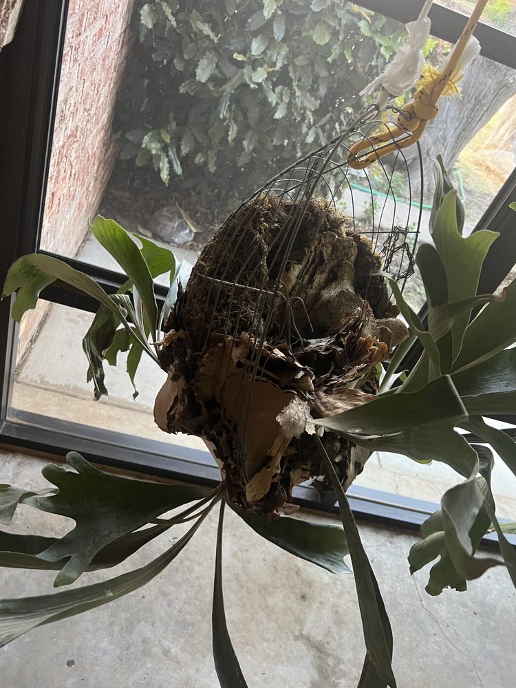 Slide of ACME Exteriors