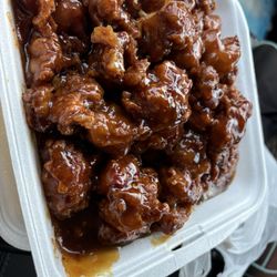 General Tso's Chicken HUGE portion