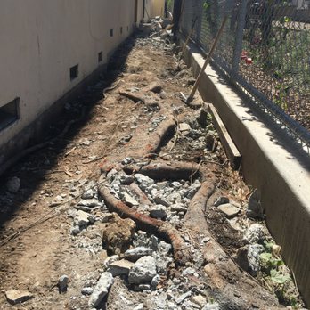 MB Paving - The giant roots exposed after they removed our old walkway - Masonry/Concrete Near Me - Sylmar, California MB Paving - The giant roots exposed after they removed our old walkway - Masonry/Concrete Near Me - Sylmar, California