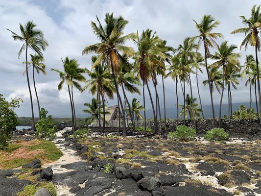 Pu'uhonua O Honaunau National Historical Park by null