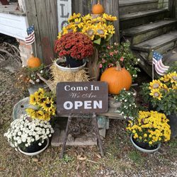 Cajun Village Antiques