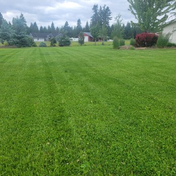 Tenney Lawn and Land - a green lawn with trees in the background - Lawn Services Near Me