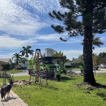 Tree Masters FL - Tree Services Near Me