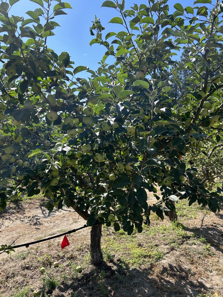 EARTHSEED FARM Updated August 2024 3175 Sullivan Rd, Sebastopol