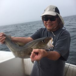 Little Sister Charter - Bonus cod on a sea bass trip