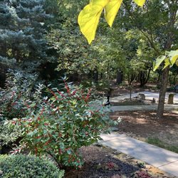 Taylor-Brawner Park - Tranquility