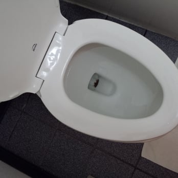 Breeze Inn - Filthy disgusting toilet bowl for 300+ dollars. - Hotels Near Me - Seward, Alaska Breeze Inn - Filthy disgusting toilet bowl for 300+ dollars. - Hotels Near Me - Seward, Alaska