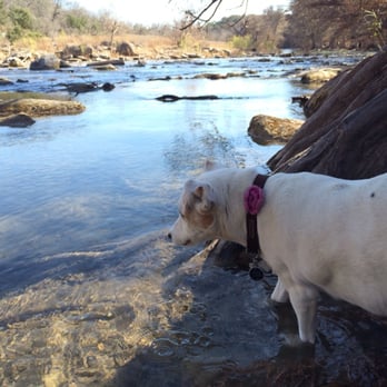 Guadalupe River State Park - Guadalupe SP - Parks Near Me - Spring Branch, Texas Guadalupe River State Park - Guadalupe SP - Parks Near Me - Spring Branch, Texas
