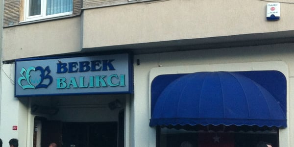 Bebek Balıkçı by null