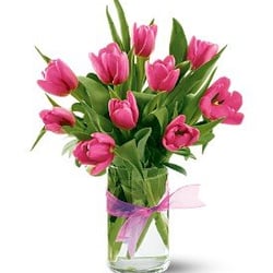 Ladybug's Flowers & Gifts