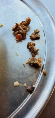 Chipotle Mexican Grill by null