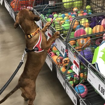 Pet Supplies Plus Goose Creek - Pet Groomers Near Me - Goose Creek, South Carolina