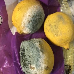 Walmart Supercenter - Mold