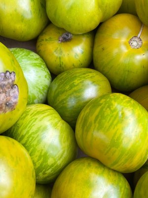 Down to Earth McGolrick Park Farmers Market by null
