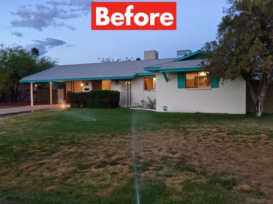 Reseeding Winter Lawn - Before photo before reseeding, and After photo after reseeding. Reseeding Winter Lawn - Before photo before reseeding, and After photo after reseeding.