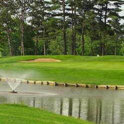 The Mill Course - Par 3 #8