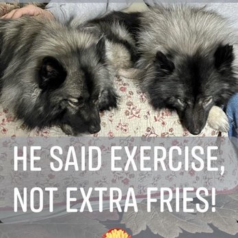 Gov's Fusion Cantina - @Cooper the Keeshond, GypZ and not extra fries from Gov's, that's for sure! - Burgers Near Me - Chapel Hill, North Carolina Gov's Fusion Cantina - @Cooper the Keeshond, GypZ and not extra fries from Gov's, that's for sure! - Burgers Near Me - Chapel Hill, North Carolina