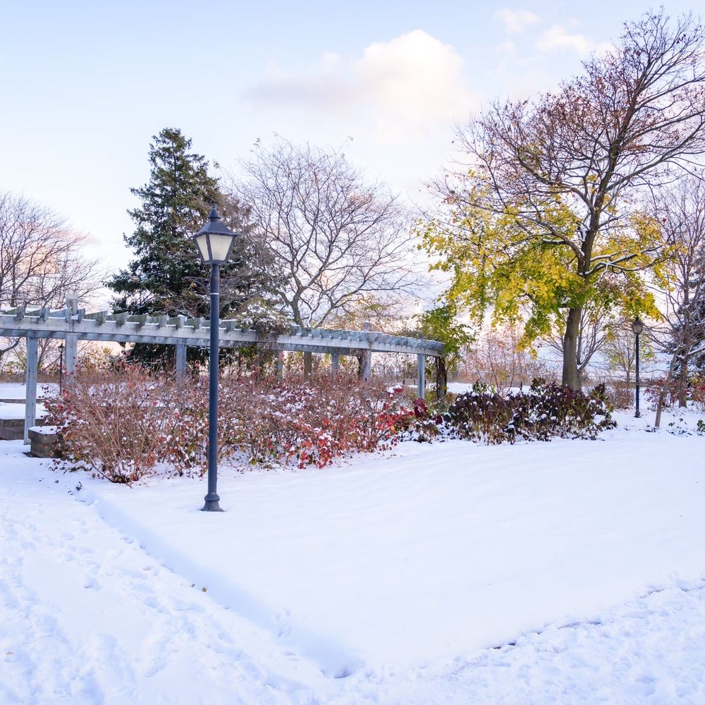 Rosetta McClain Gardens - Parks Near Me - Toronto, Ontario