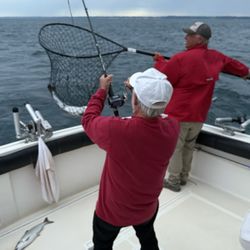 Seahawk Charters - Landing fish