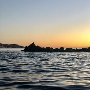 Coras - Sea lions colony @espiritusantoisland - Snorkeling Near Me - La Paz, BCS Coras - Sea lions colony @espiritusantoisland - Snorkeling Near Me - La Paz, BCS