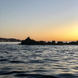 Coras - Sea lions colony @espiritusantoisland