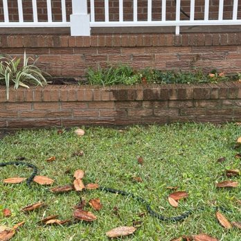 D&D Powerwashing - Pressure Washers Near Me D&D Powerwashing - Pressure Washers Near Me