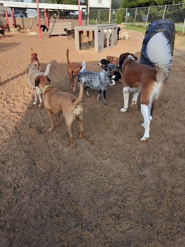 HICKORY HILLS KENNELS Updated August 2024 71 Photos & 30 Reviews