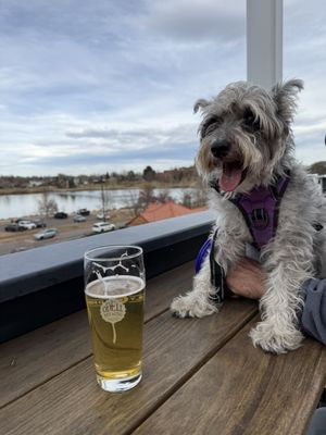 Odell Brewing Sloan's Lake Brewhouse & Pizzeria by null