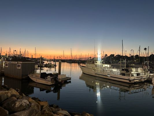 Harbor Fish & Chips by null