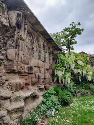 Hereford Cathedral by null