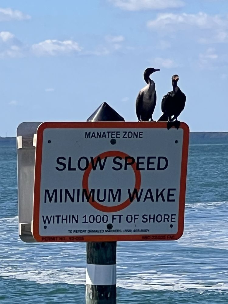 Bill Baggs Cape Florida State Park Image