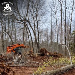 A Ton Tree & Debris