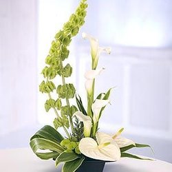 Fleur De Louise - Tranquil White