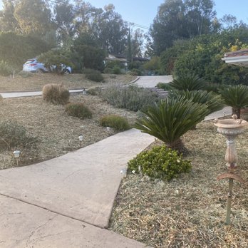 Active Landscape And Tree Service - All weeds removed, mulched, and greenery cut back. - Tree Services Near Me Active Landscape And Tree Service - All weeds removed, mulched, and greenery cut back. - Tree Services Near Me