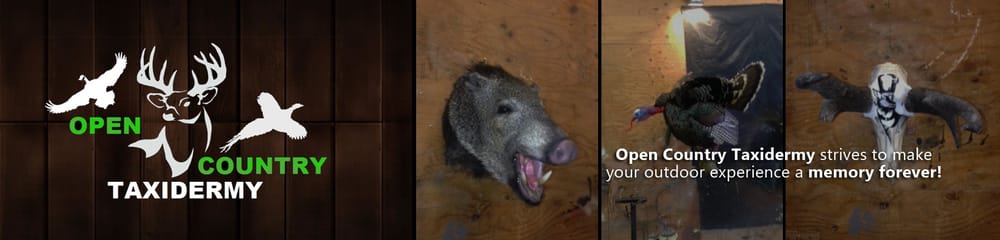 Open Country Taxidermy - taxidermy in La Salle, CO