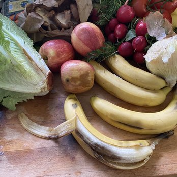 Full Circle - Fifty dollars worth of fruit and veg. Horribly overpriced for the quality and quantity. - Fruits & Veggies Near Me - Seattle, Washington Full Circle - Fifty dollars worth of fruit and veg. Horribly overpriced for the quality and quantity. - Fruits & Veggies Near Me - Seattle, Washington