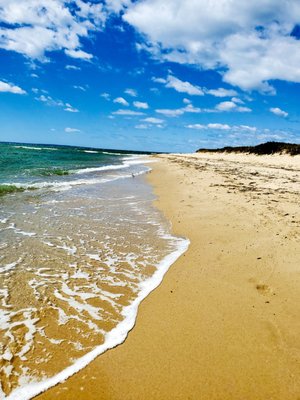 South Cape Beach State Park by null