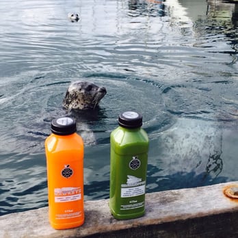 Jusu Bar - two bottles of juice and a seal in the water - Juice Bars & Smoothies Near Me - Victoria, British Columbia