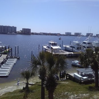 Destin Dolphin Cruise - Boat Tours Near Me - Destin, Florida