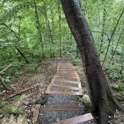 Machine Falls Loop Trail - This staircase leads down to the bottom of the forest floor to reach Machine Falls.