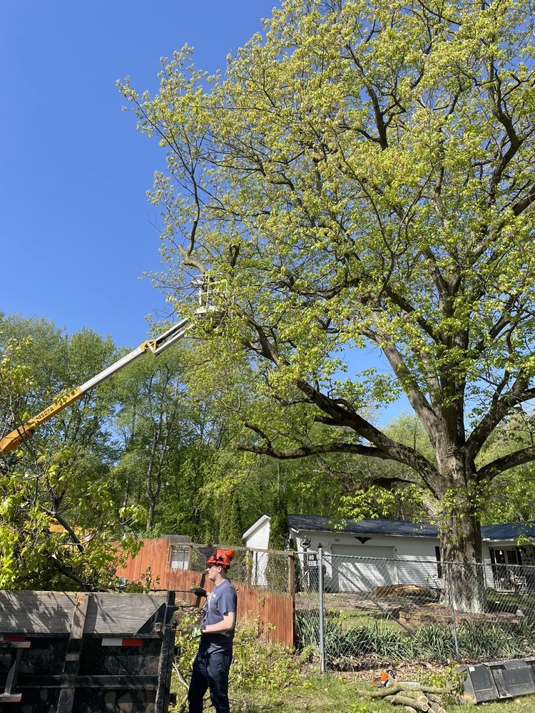 GNF Services - veterans service organization in Pierceton, IN