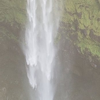 Akaka Falls State Park - Parks Near Me - Honomu, Hawaii