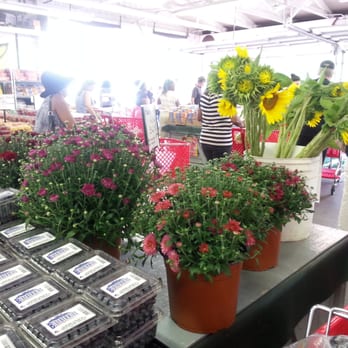 Block's Stand & Greenhouse - Farmers Market Near Me - Romulus, Michigan