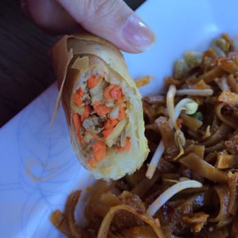NaraDeva Thai Restaurant - Pork stuffed spring rolls. Mostly veggies - Thai Near Me - Orlando, Florida