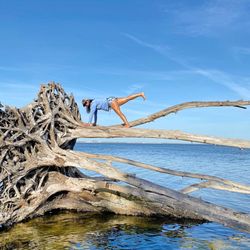 Manatee Cove - Planking on this beautiful tree!