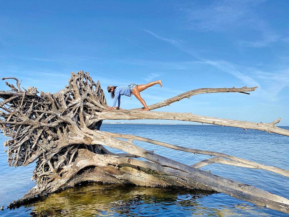 Manatee Cove Image