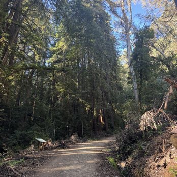 Wunderlich Park - Trail - Parks Near Me - Woodside, California