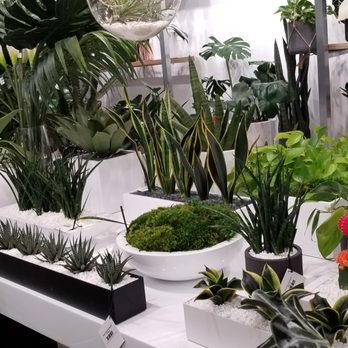 The Eden Plants - Nurseries & Gardening Near Me - Fort Lauderdale, Florida
